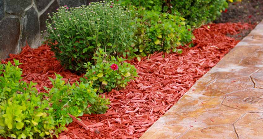 landscaping-siloam-springs